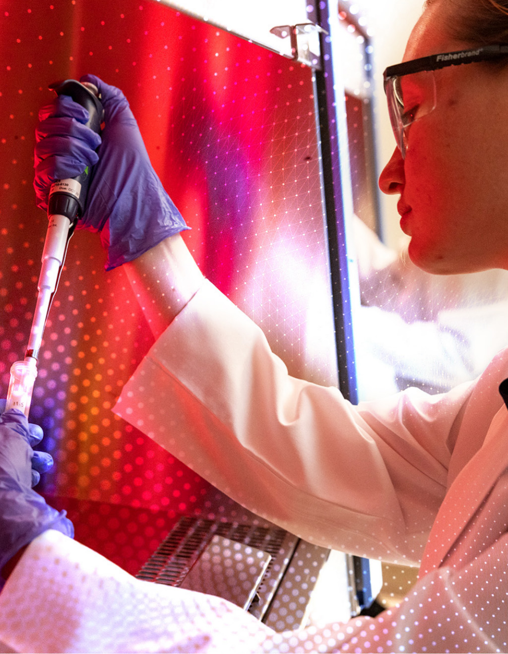 UGA Takes Research to the Next Level