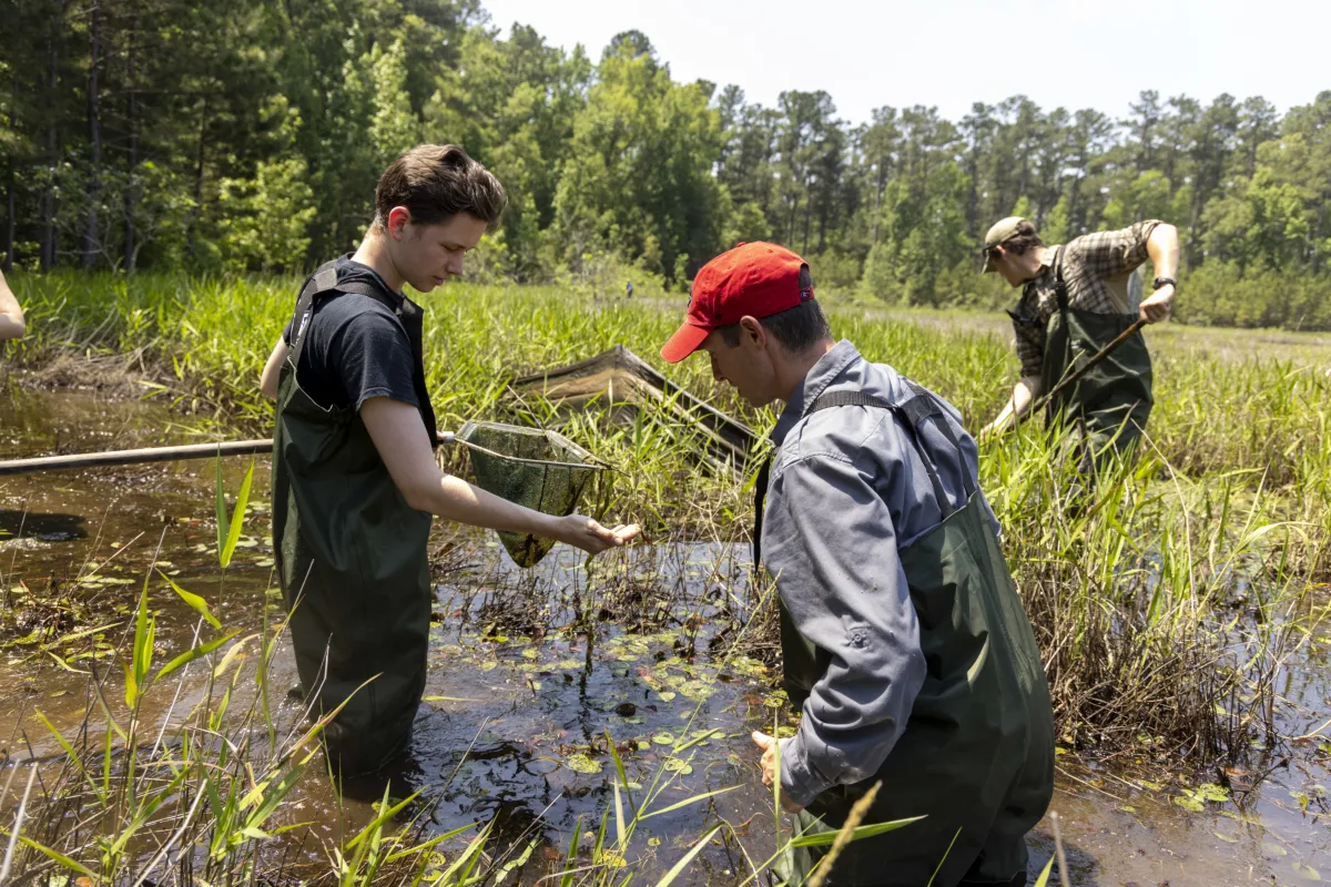 Decades of Collaboration Lead to Outstanding Ecological Insights