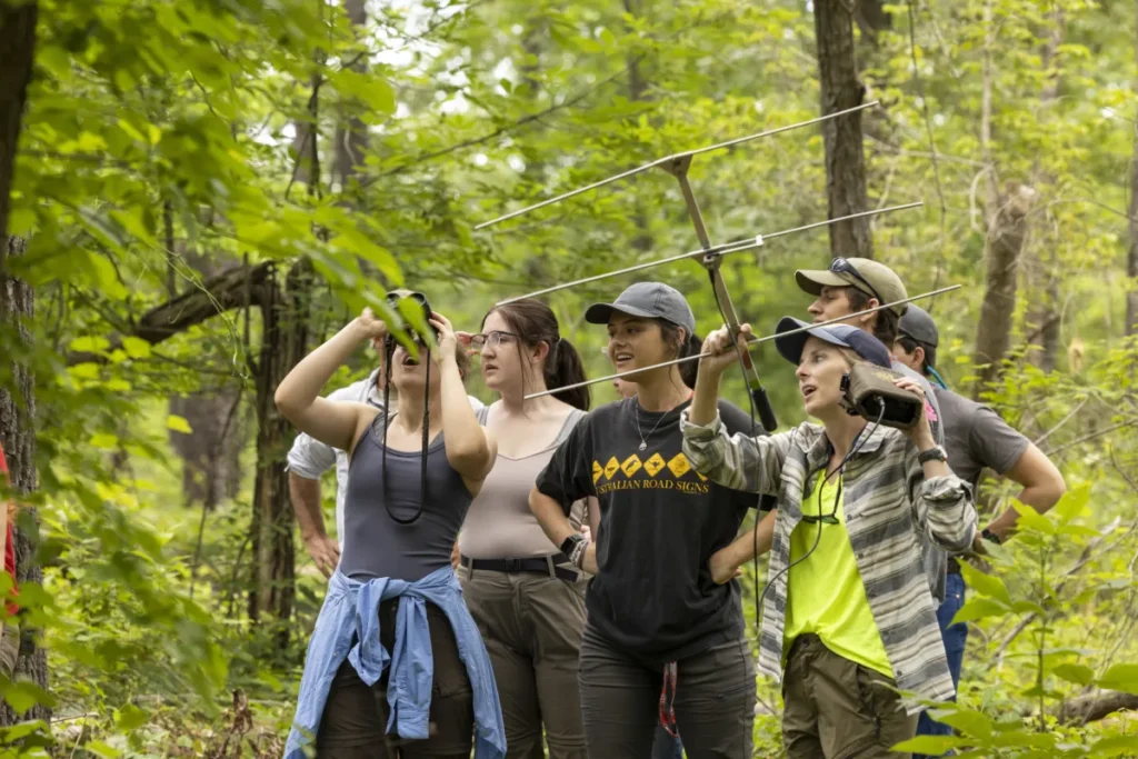 A group of college students observe natures and take photos.
