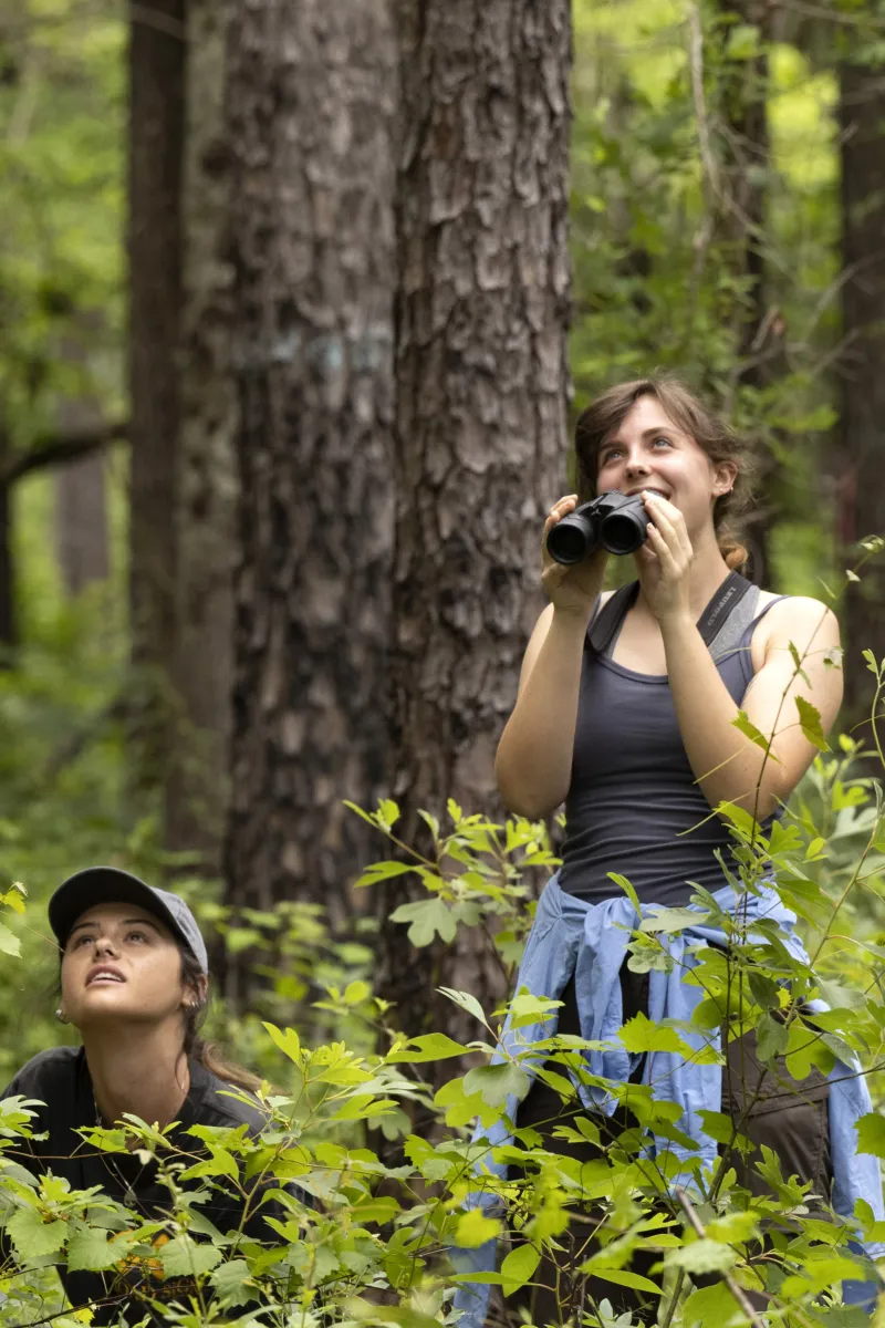 Two young girls stand behind a bush and look up at something off-camera.